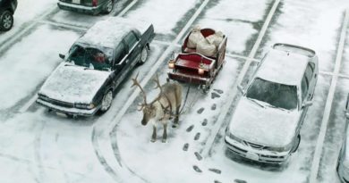 Galway County Council Loughrea Parking Concessions Christmas 2024