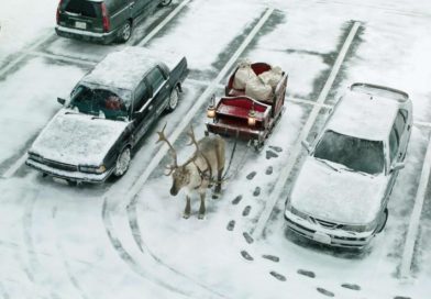 Galway County Council Loughrea Parking Concessions Chrishtmas 2025