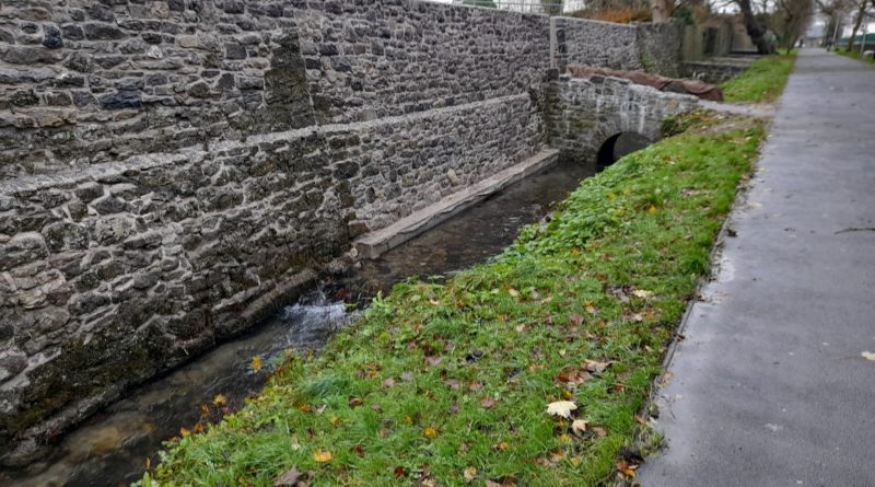 The Walks Project announce Tour of The Walks in Loughrea