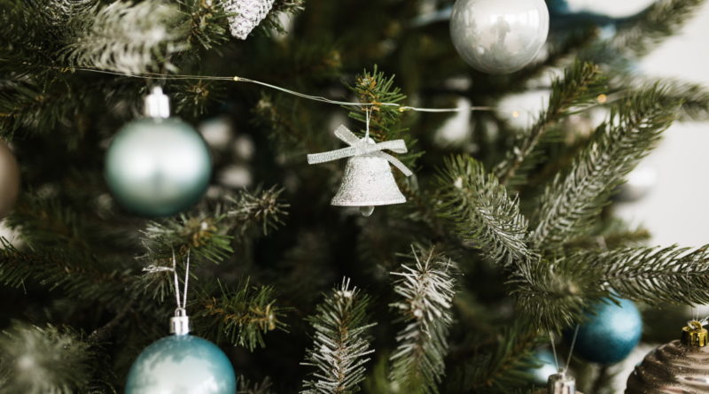 Loughrea Christmas Tree Recycling 2023