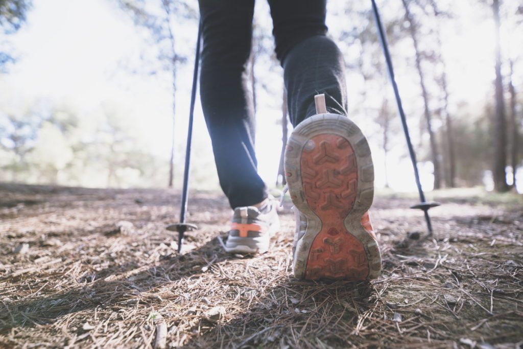 New Nordic Walking Introduction Class from Loughrea