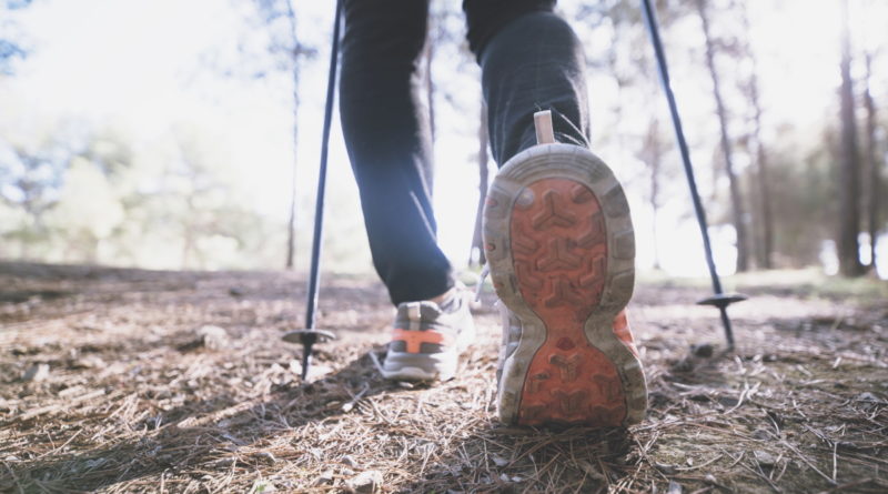 New Nordic Walking Introduction Class from Loughrea