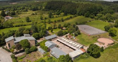 Spring Foraging Walk and Talk at Slieve Aughty Centre