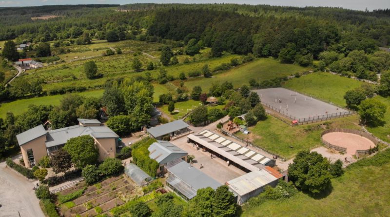 Spring Foraging Walk and Talk at Slieve Aughty Centre