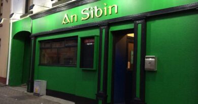 Live Blues at An Sibín Loughrea – A Night with Austin Walkin' Cane