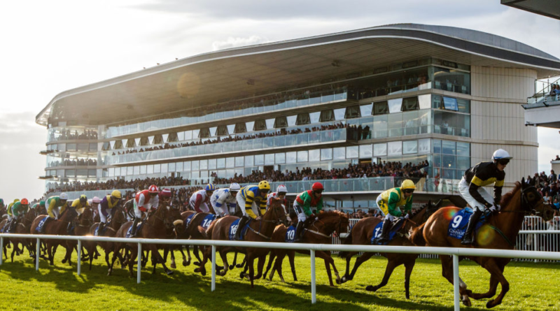 Discover Loughrea's guide to the Galway Races