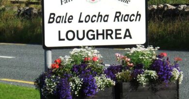 Loughrea Tidy Towns litter picking