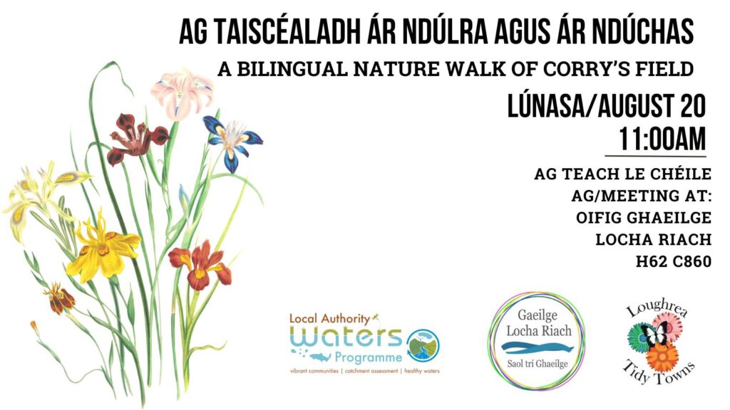 Loughrea Tidy Towns and Gaeilge Locha Riach bilingual nature walk in Loughrea