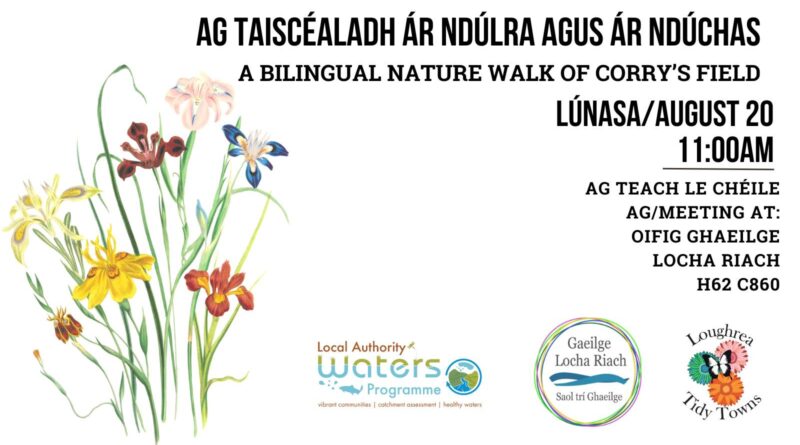 Loughrea Tidy Towns and Gaeilge Locha Riach bilingual nature walk in Loughrea