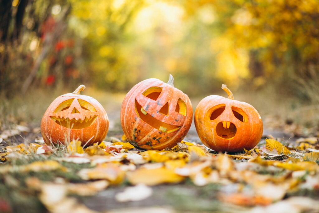 Howl-O-Ween Festival 2023 at Slieve Aughty Centre
