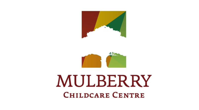 Mulberry Childcare hiring a childcare professional Loughrea