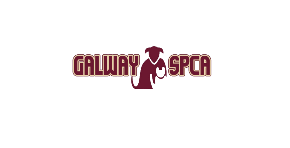 Galway SPCA Opening New Shop in Loughrea