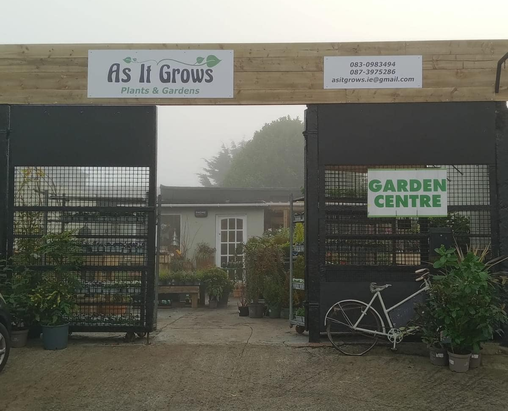 New Roots in Loughrea: Discover As it Grows