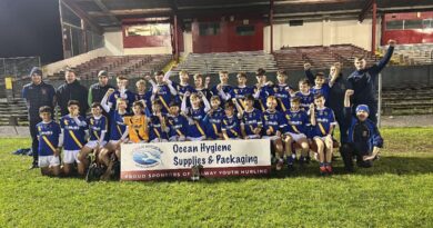Loughrea Hurling Club Claims Victory in U14A Cup Final