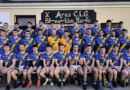 Loughrea storm into All-Ireland Senior Hurling Final after 19-year wait