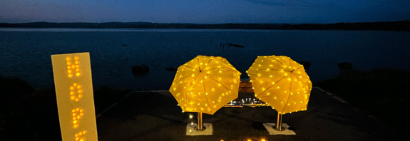 Volunteers Needed to Secure the Future of Darkness Into Light Loughrea