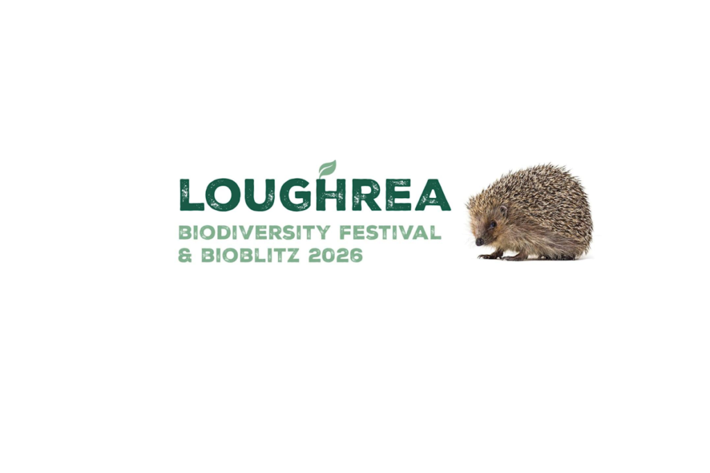 Loughrea Biodiversity Festival & BioBlitz 2026