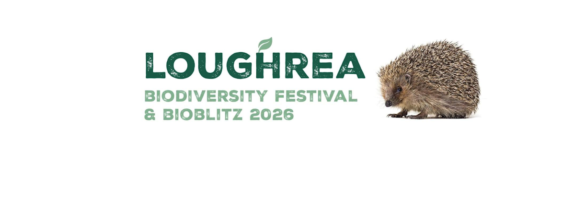 Loughrea Biodiversity Festival & BioBlitz 2026