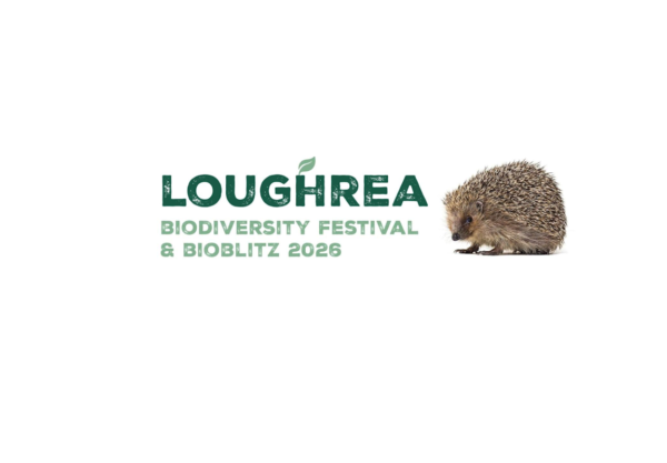 Loughrea Biodiversity Festival & BioBlitz 2026