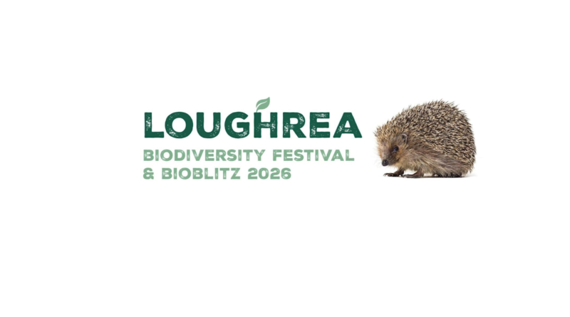 Loughrea Biodiversity Festival & BioBlitz 2026